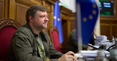 Корнієнко про вибори під час війни