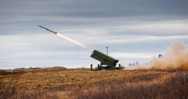 Швеція передасть Україні ППО