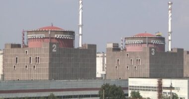 Greenpeace про блекаут на ЗАЕС