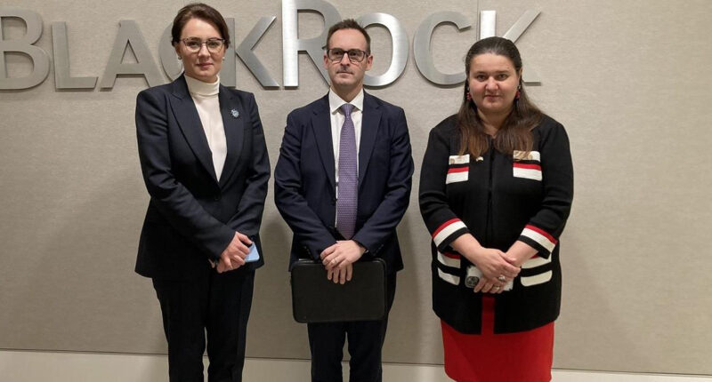 інвесткомпанія BlackRock