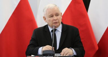 Качинський обіцяє не пустити УКраїну до ЄС