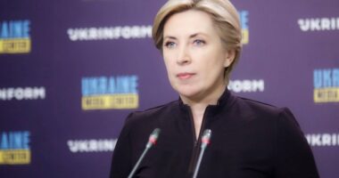 Верещук про законопроєкт щодо ВЛК