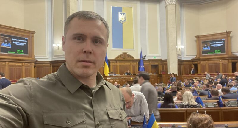 Костенко про закон про мобілізацію