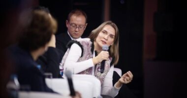 Бобровська про сповільнення плану мобілізації