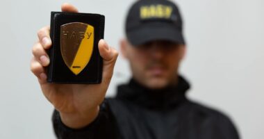 Обшуки в Міндіча і Галущенка проходять в одній справі