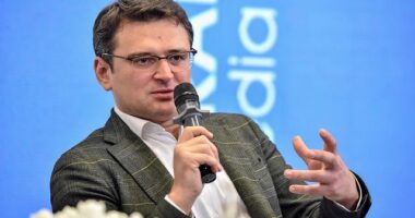 Кулеба про іноземних інвесторів