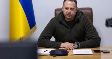 Єрмак підтвердив обшуки