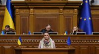 Бобровська про законопроєкт про мобілізацію