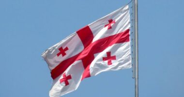 Грузія звинуватила Україну у перешкоджанні її шляху до ЄС