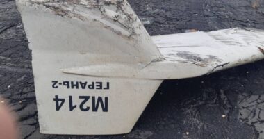 Зеленський про виробництво дронів
