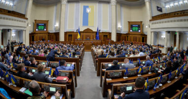 Гончаренко про законопроєкт про мобілізацію