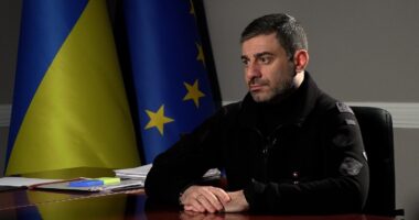 Лубінець про страту