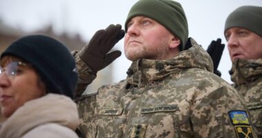 У НІмеччині вважають, що Залужний командував підривом Північних потоків