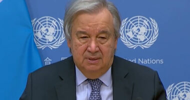 Гуттеріш окупацію Криму і Донбасу