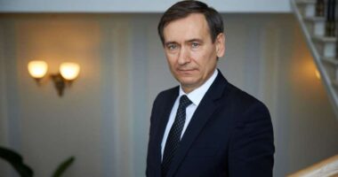 Веніславський про терміни підготовки мобілізованих