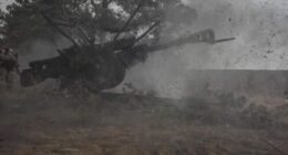 США закупило зенітки Gepard