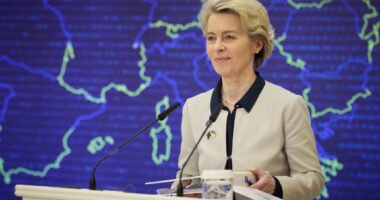 Фон дер Ляєн про миротворців