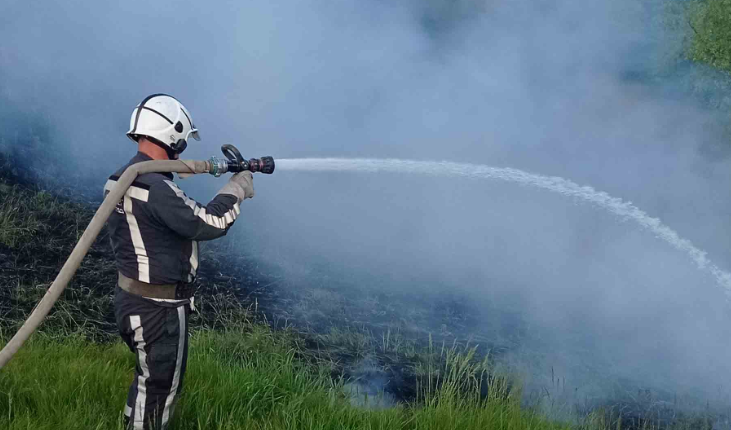 У Вишгородському районі горить ліс