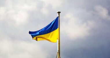 Зеленський про звільнення окупованих територій