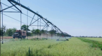 На Миколаївщині після підриву Каховської ГЕС відновили зрошення полів