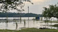 У водоймах Миколаївщини підвищені норми кишкової палички