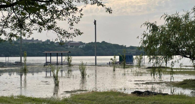 У водоймах Миколаївщини підвищені норми кишкової палички