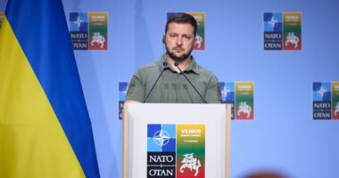 Зеленський прокоментував результати саміту НАТО