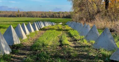 Кабмін провалив закупівлю "зубів дракона" для Запоріжжя