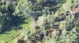 Українські прикордонники ліквідували групу окупантів поблизу Бахмута