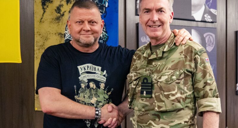 Радакін про контрнаступ ЗСУ