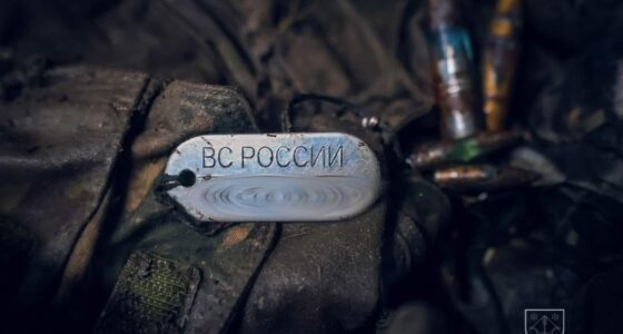 Зеленський про втрати росіян