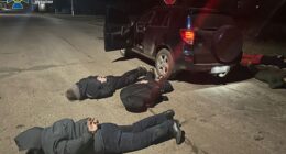 В Україні викрили три "схеми для ухилянтів"