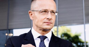 Міністр закордонних справ і зовнішньої торгівлі Угорщини Петер Сіярто