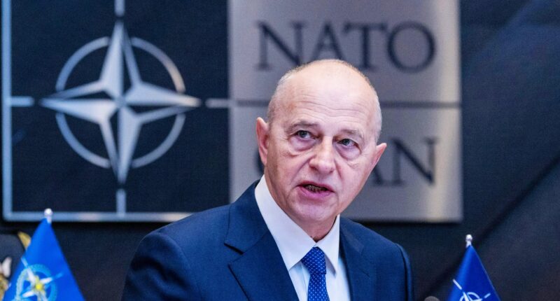 Заступник генерального секретаря НАТО Мірчі Джоане