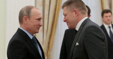 Фіцо про поїздку до Путіна