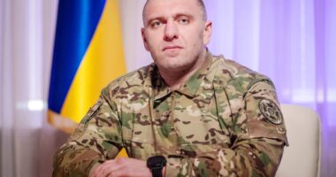 Малюк про замахи