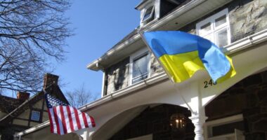 Железняк про кредит США у 20 млрд доларів