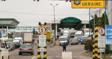 Українська митниця