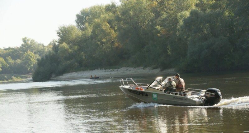 про забруднення десни та Сейму