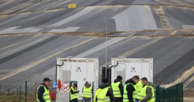 Під Львовом з’явився перший в Україні сміттєвий полігон, рекультивований за європейськими стандартами