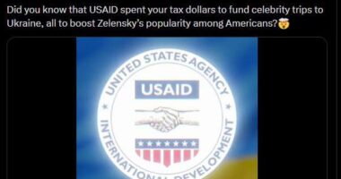 Маск поширює фейкове відео про USAID