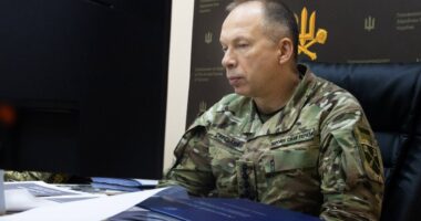 Сирський про безпілотники в РФ