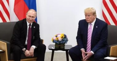аналіз переговорів Трампа з Путіним