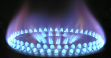 Уряд розробив алгоритм обмеження газу