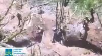 Окупанти розстріляли трьох українських військовополонених на Донеччині