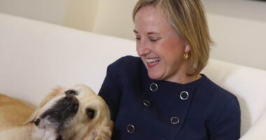 Джулі Девіс очолить посольство США в Україні