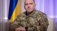 Малюк про Павутину