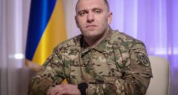 Малюк про Павутину