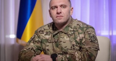Малюк про Павутину