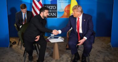 Зеленський і Трамп говоритимуть наступного тижня